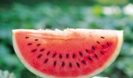 今日吃瓜的图片素材